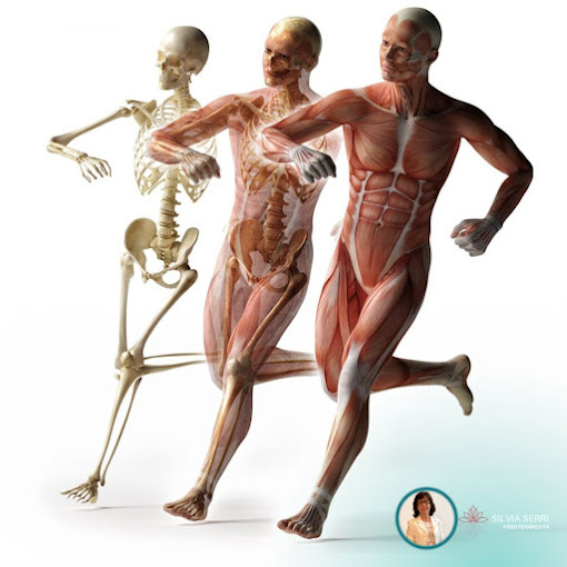 Descubra a Fascia: A Teia Invisível Que Une Seu Corpo e Transforma Seu Bem-Estar!